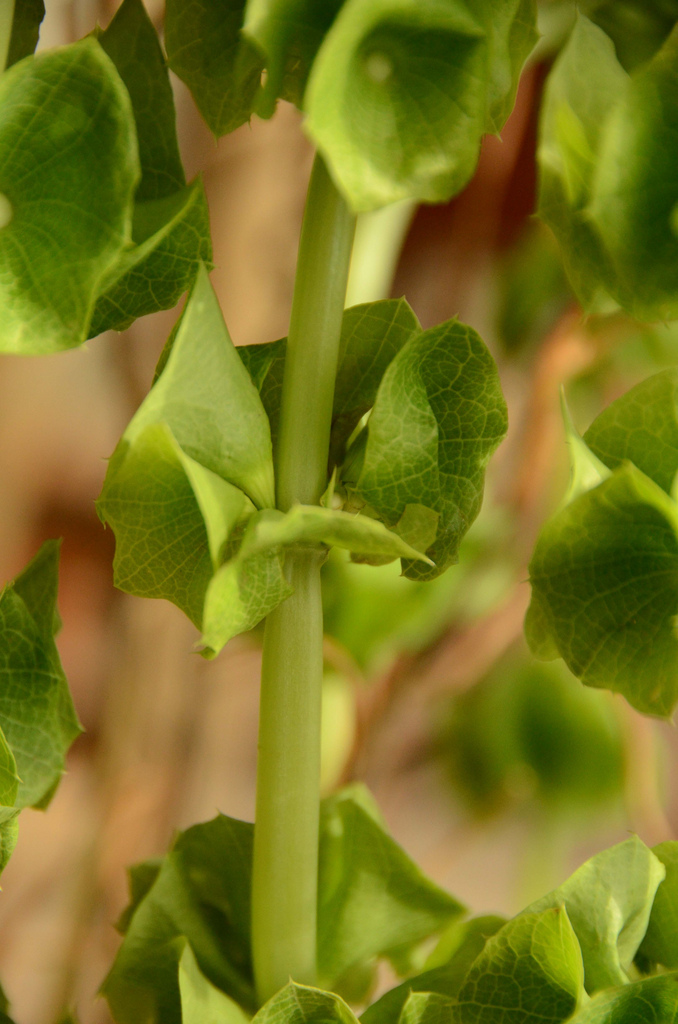 Happy St. Paddy’s&nbsp;Day