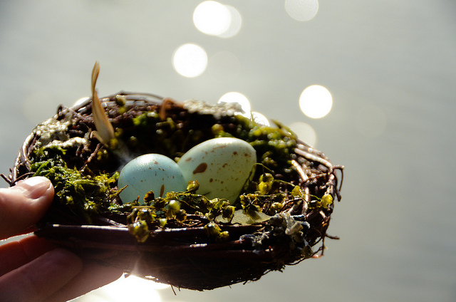 Blue Eggs and&nbsp;Nia