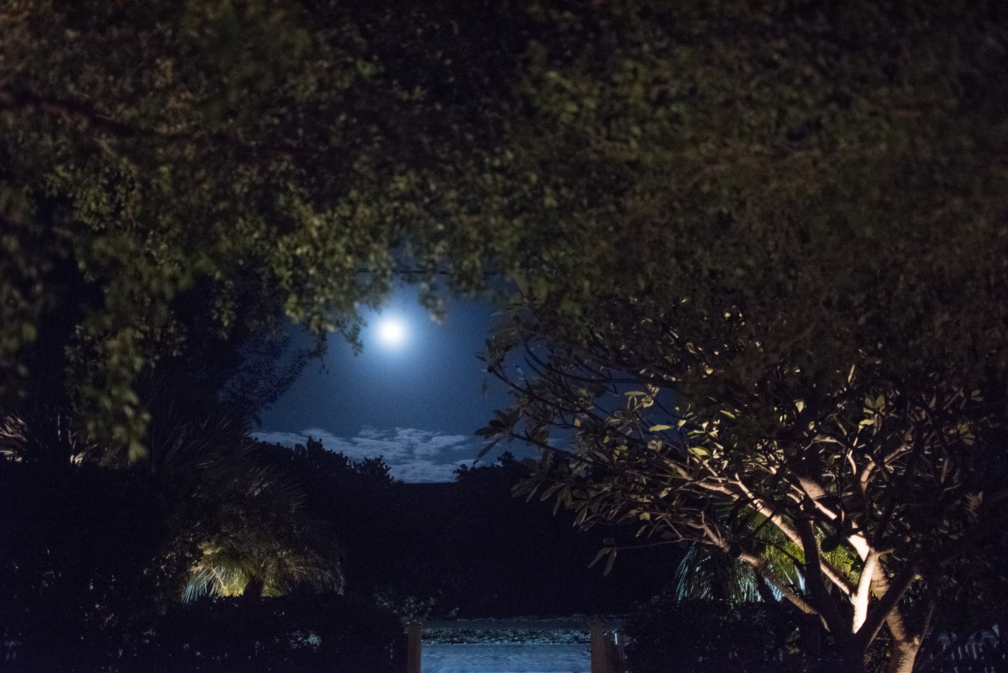 christakos_patricia_-2773